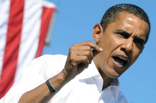 Elections de mi-mandat aux Etats-Unis : un scrutin-test pour Barack Obama - ảnh 1